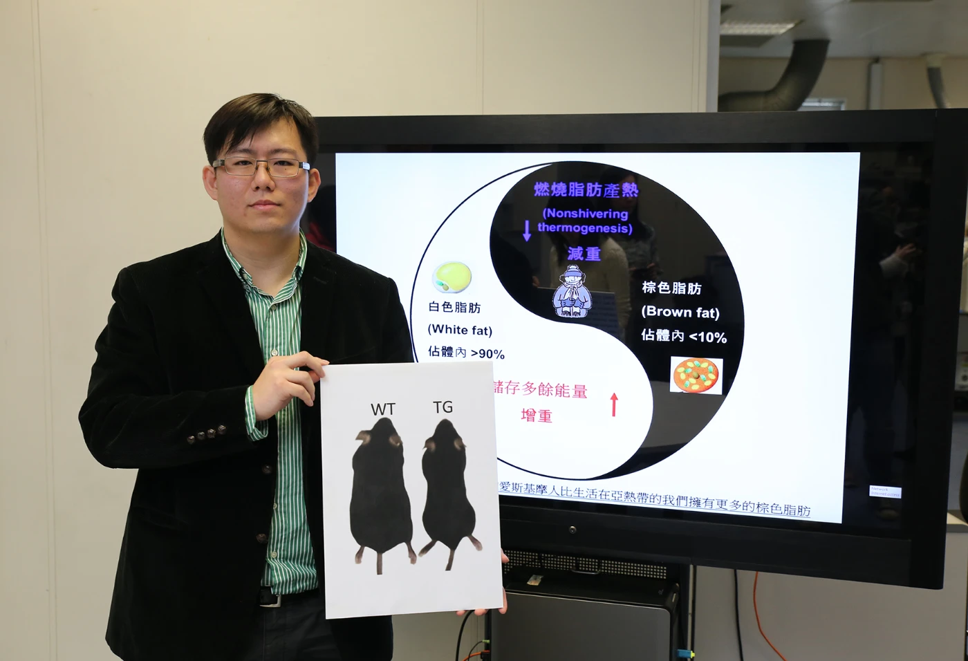 HKU researcher unveils the secret of fat burning<br>
For development of potential new drugs in treatment of metabolic diseases