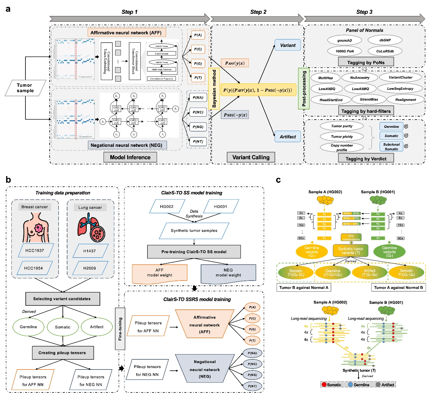 Researchers from HKU Engineering Develop Deep-learning Tools to Transform Cancer Diagnosis and Genomic Research