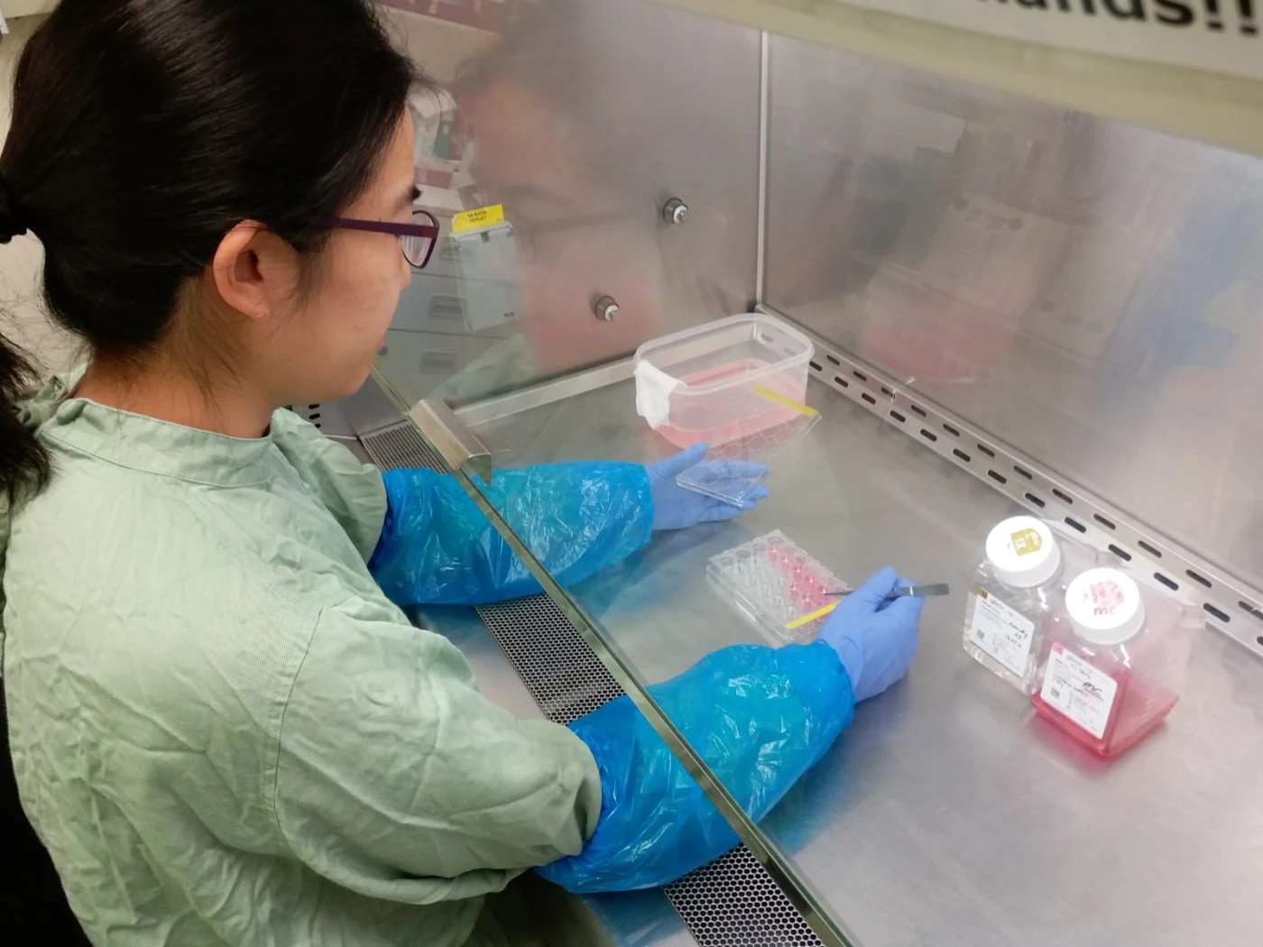HKU School of Public Health and Department of Pathology <br>
use new therapeutic strategy to improve the treatment of MERS