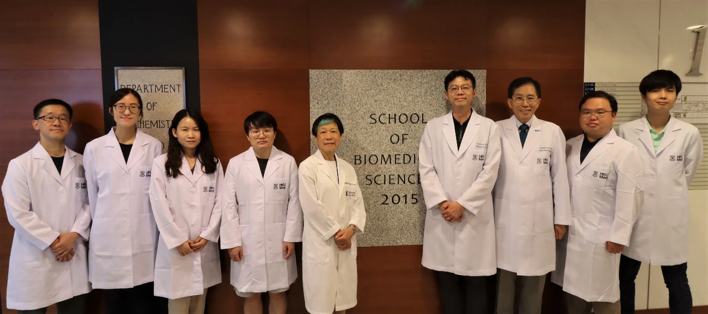 港大醫學院及城大研究團隊培育神經幹細胞<br>
具強力癒合受損神經功能　有望恢復脊髓傷患活動能力