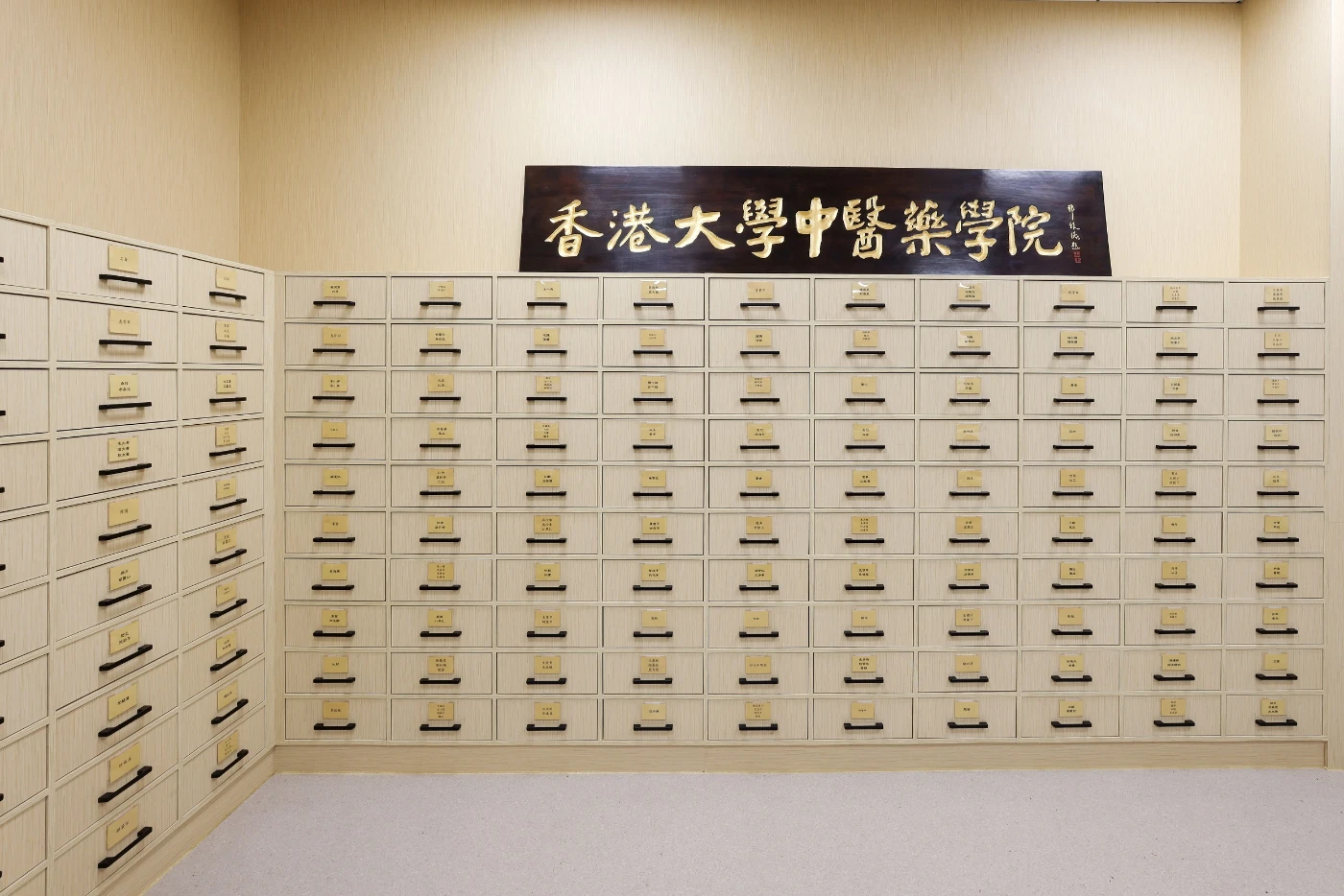 港大醫學院中醫藥學院專科臨床教研中心。