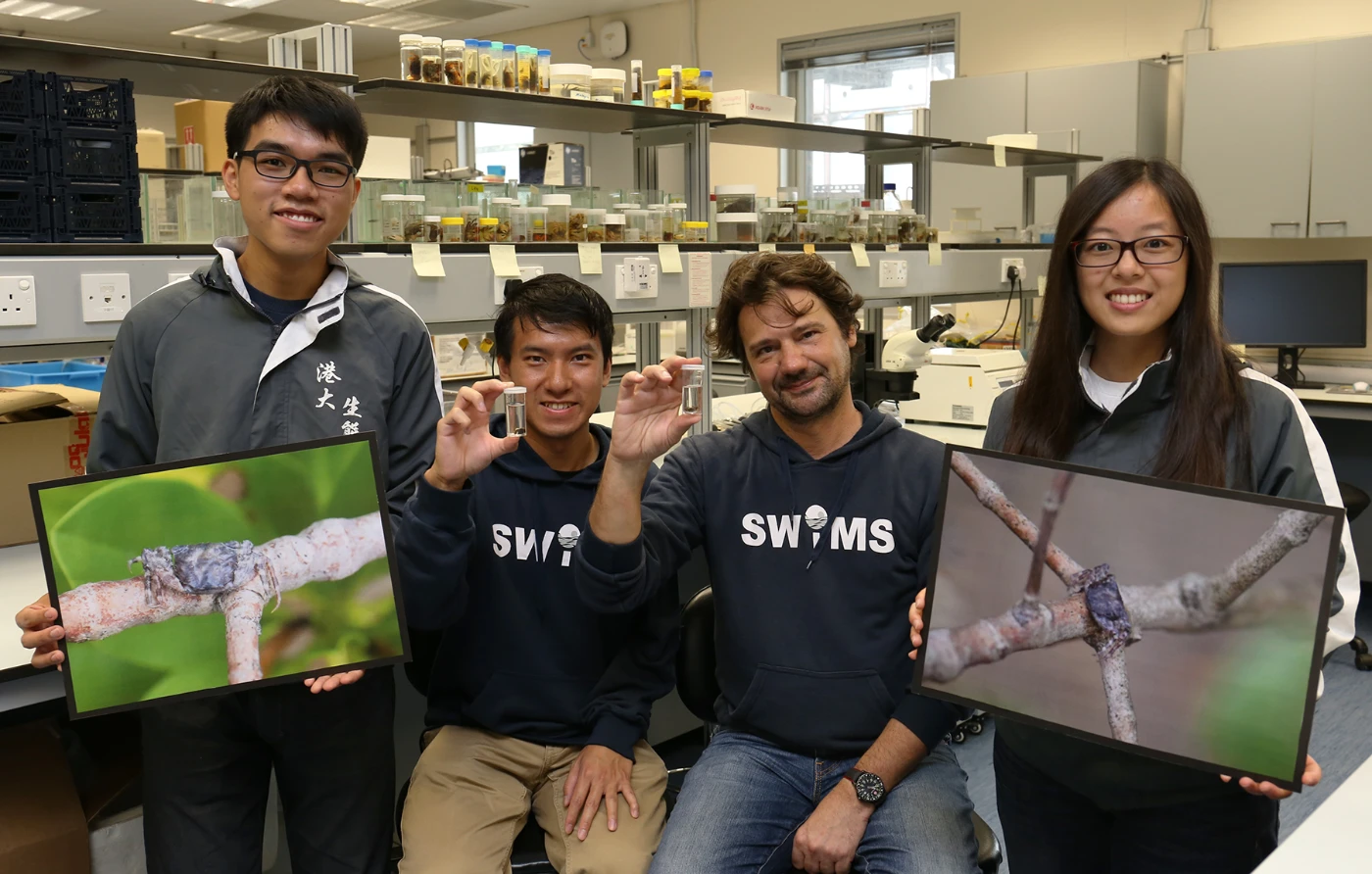 HKU marine ecologists discover and name <br>
the first endemic tree-climbing crab, Haberma tingkok, from Tolo Harbour