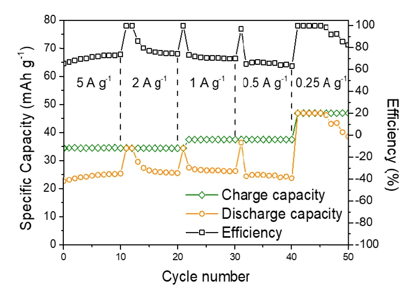 Electrochemical performance of the aqueous Mg metal battery
