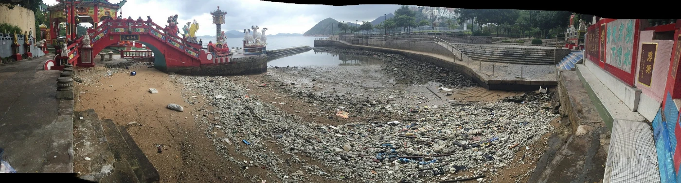 HKU marine ecologists reveal ecological impacts of the accidental palm stearin spill to the coastal ecosystem of Hong Kong