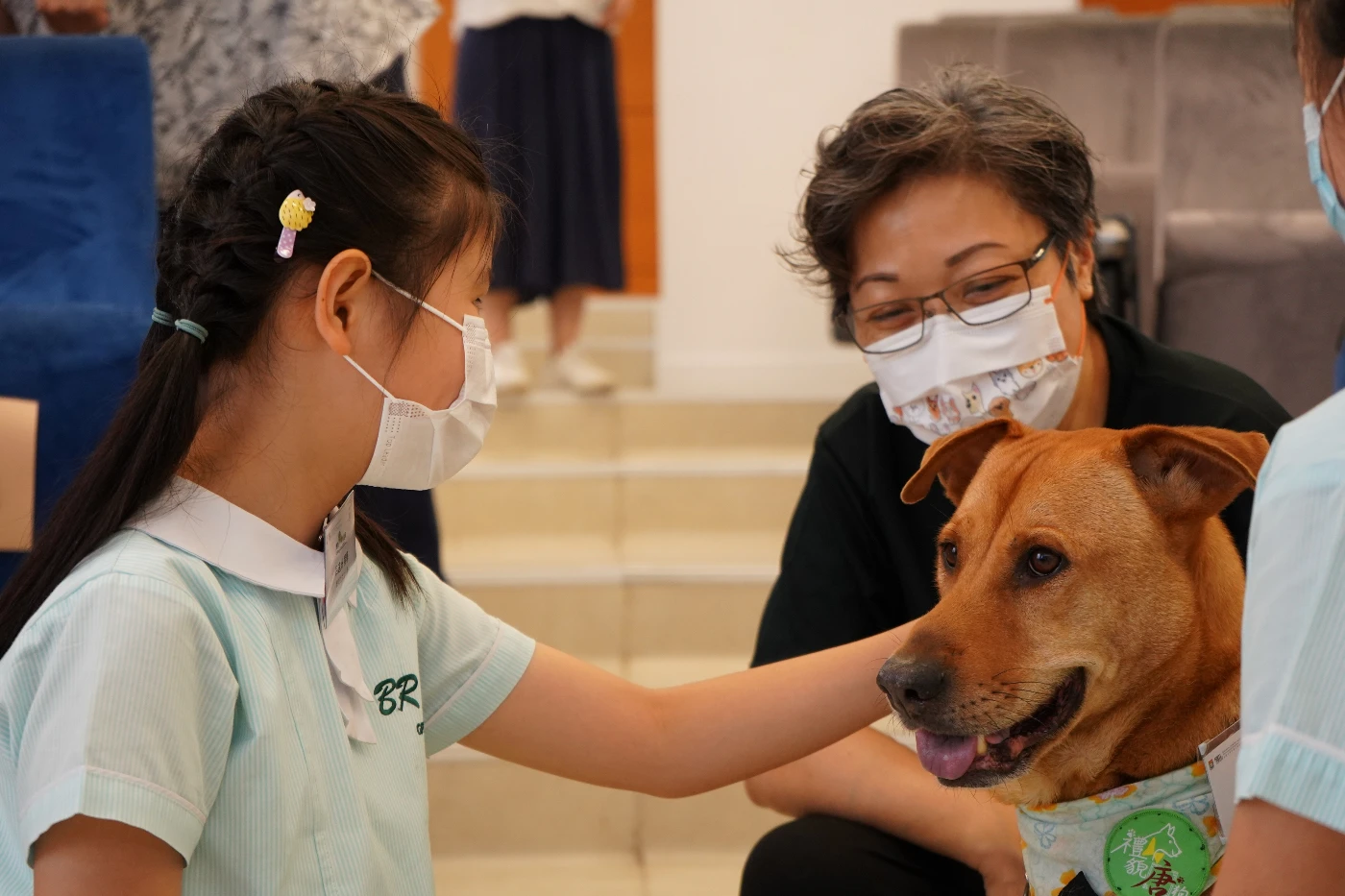 Animal-assisted humane education enhances social-emotional skills among primary school students in Hong Kong