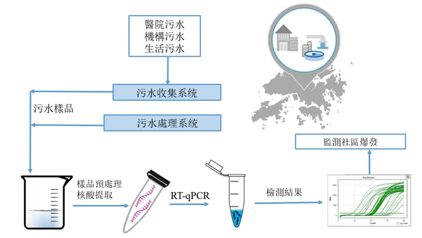 污水中SARS-CoV-2病毒的檢測流程