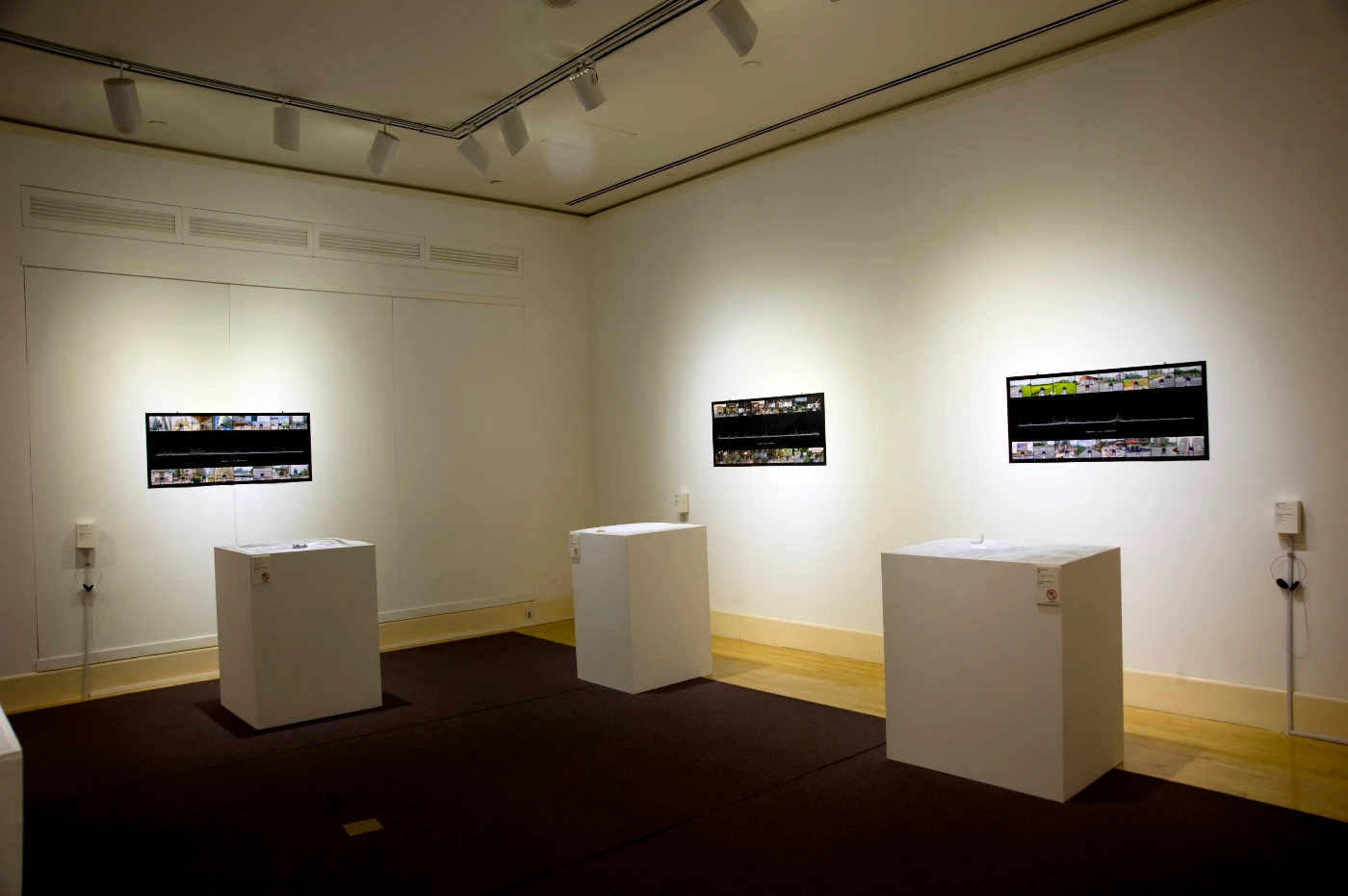Otto Tin Lun Li
     Developing Soundscapes
     Map, Sound Tracks, Lambda prints on Paper
     Otto Li’s artwork display at UMAG