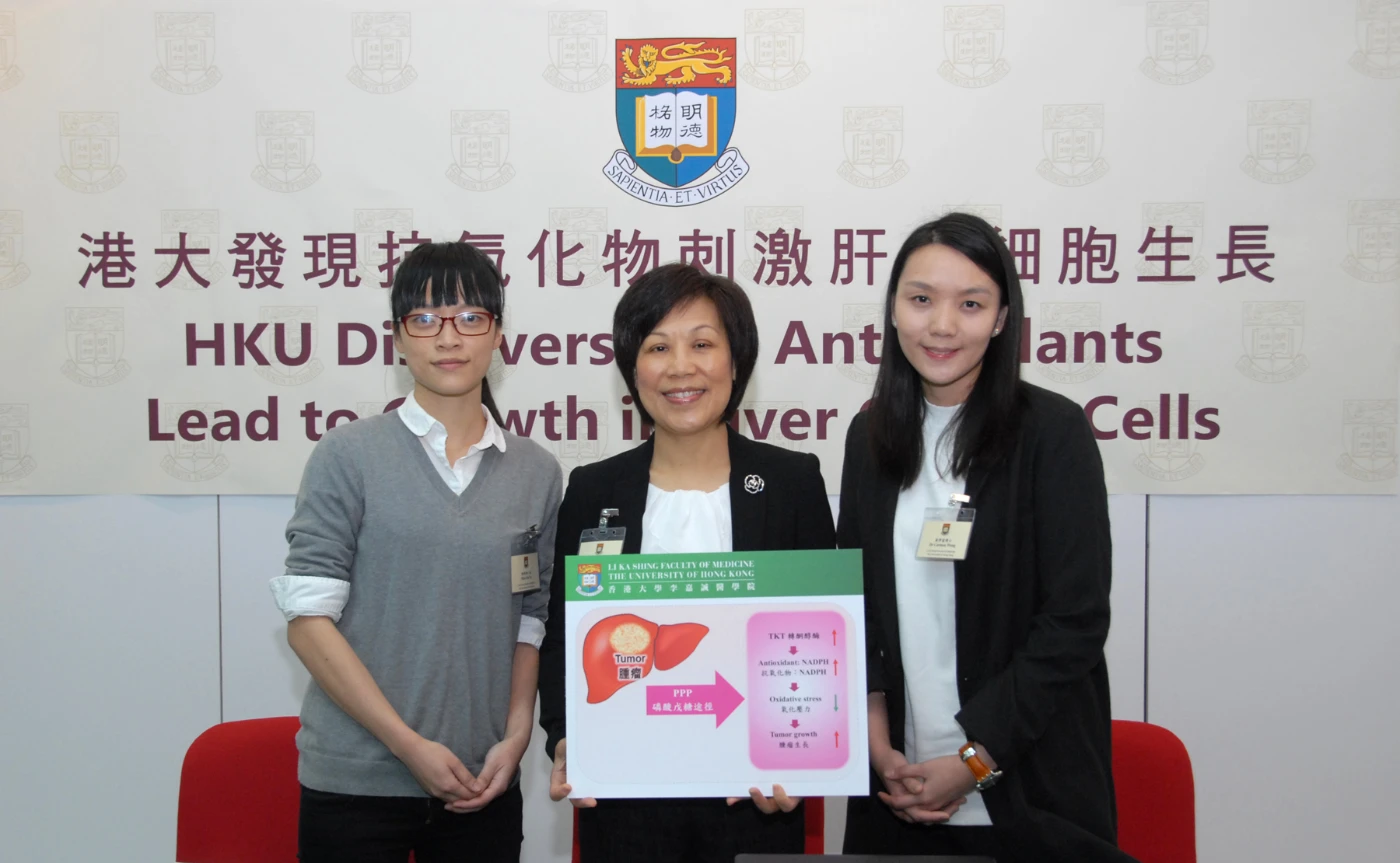 港大發現抗氧化物刺激肝癌細胞生長