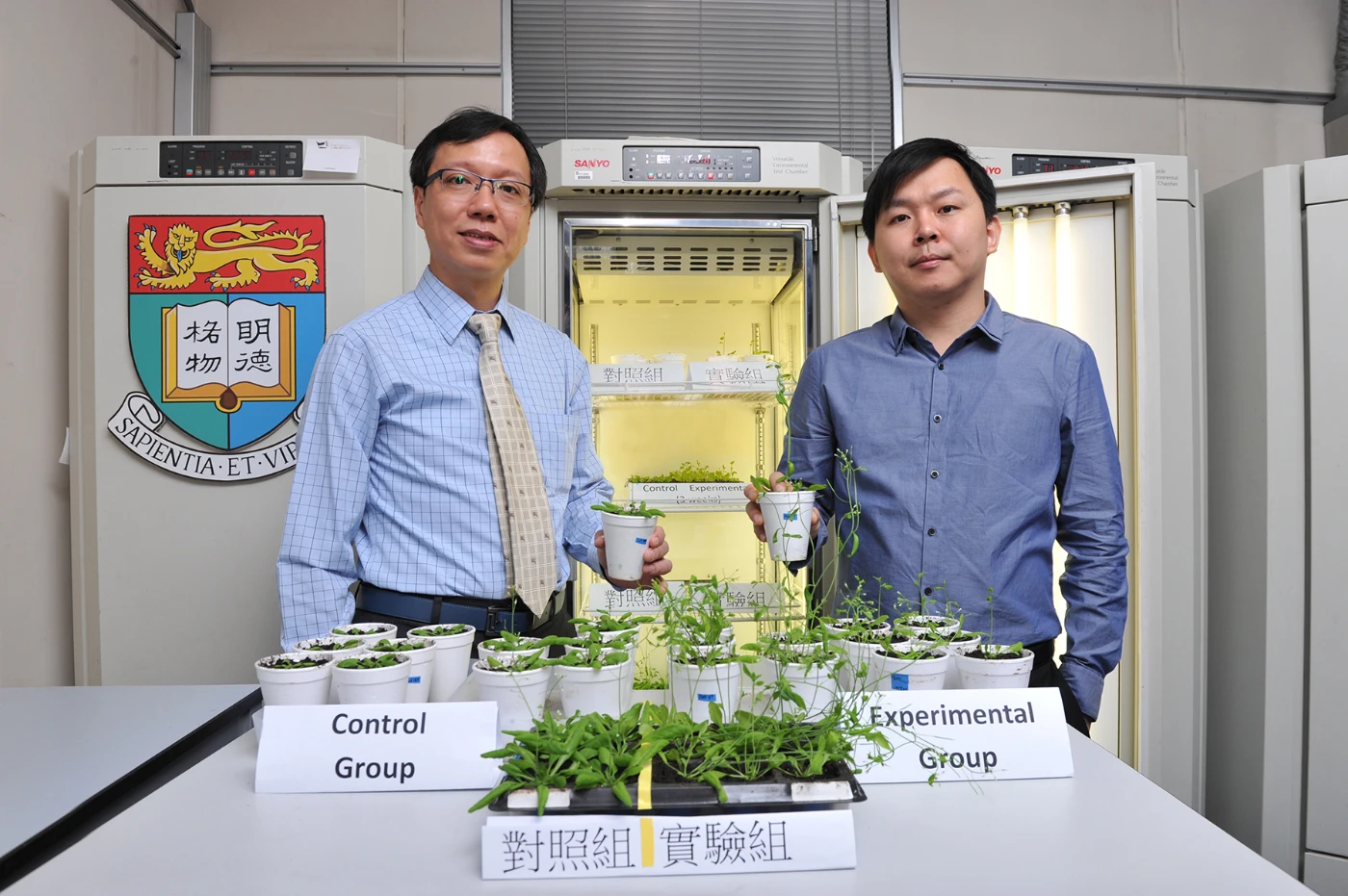 港大植物學家研發植物生長技術助緩解氣候變化和糧食短缺問題