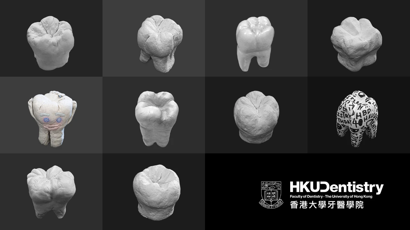An online "Taste" of the Science, Art and Technology in Dentistry - <br>
Top ten creation of molar from clay by secondary students