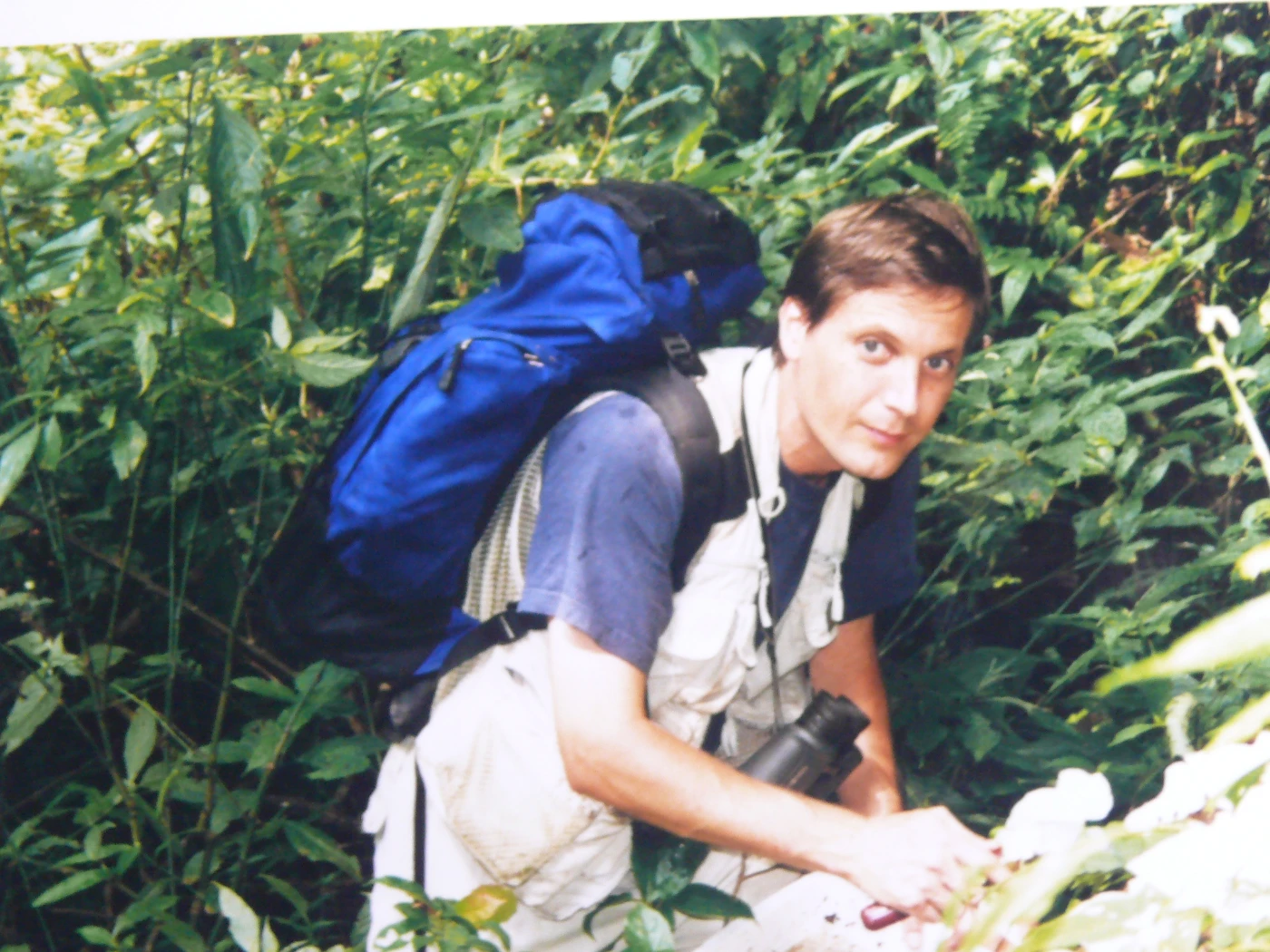 Dr John Fellowes, one of the co-authors of the study, carrying out ant inventory during the mid-1990s.
(Photo credit: Kadoorie Farm & Botanic Garden)