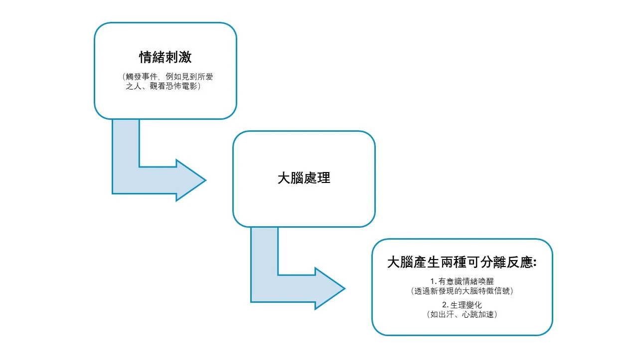 港大心理學研究揭示大腦如何建構情緒體驗