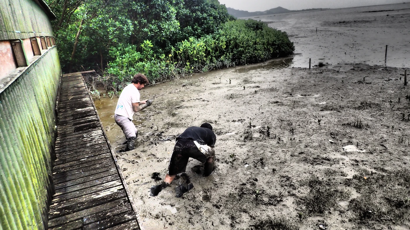 Photo 3
     Dr. Stefano Cannicci (left) and his PhD student Pedro Juliao Jimenez collecing tiny mud crabs in front of of Mai Po mangrove forests.