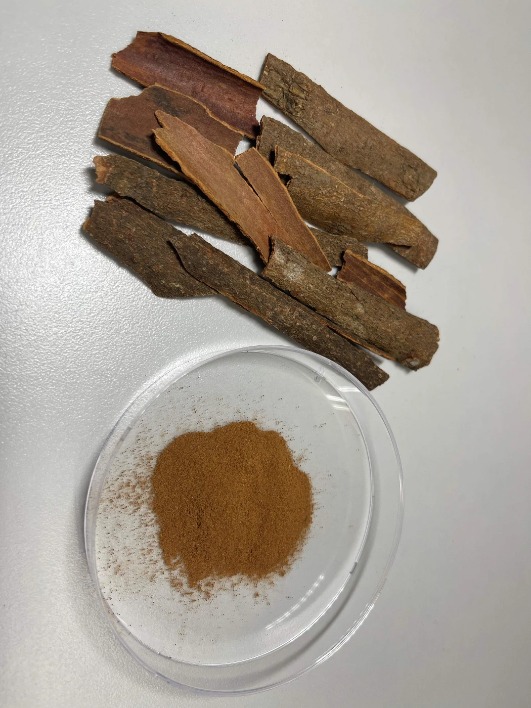 科研團隊通過化學方法把肉桂醛改造成前藥形式，可以有效提高藥物溶解性及穩定性，增強治療效果。
