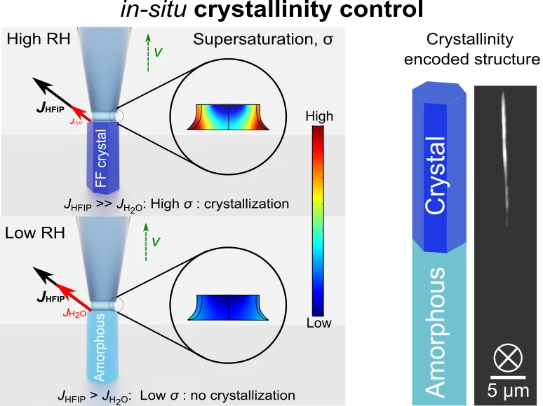 Scheme: 3D printing process of polarization-encoded 3D micro-pixels