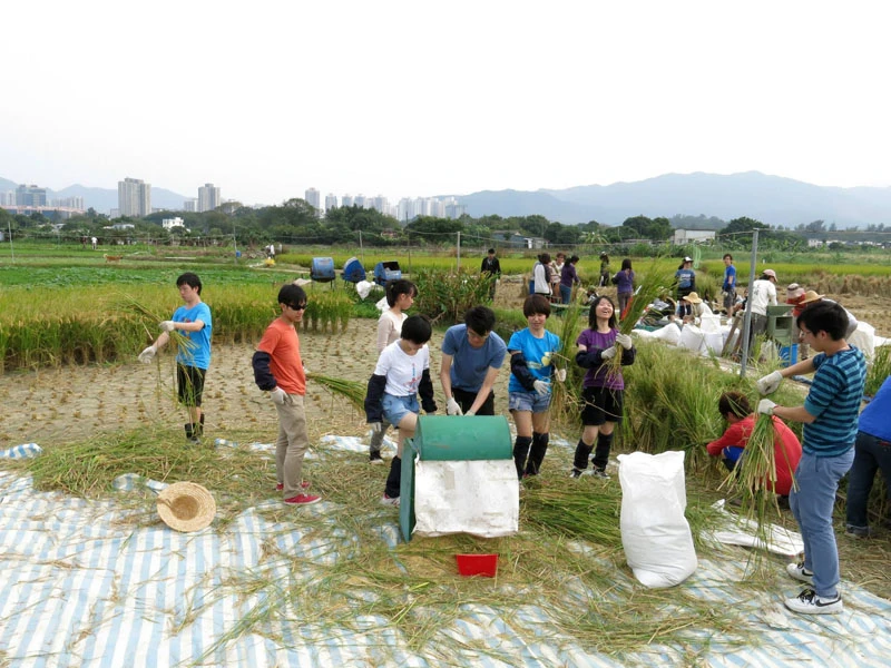 4.  Students started eco-farming in the Long Valley fresh water wetland