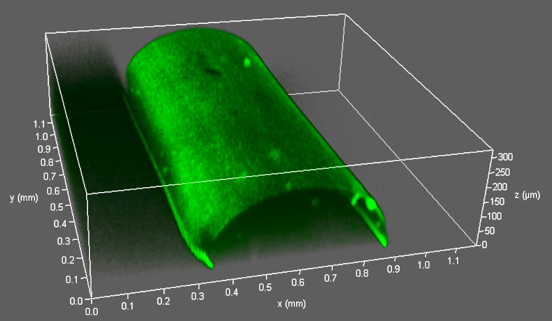 VasFluidic管道3D成像-鐳射共聚焦掃描顯微鏡圖片