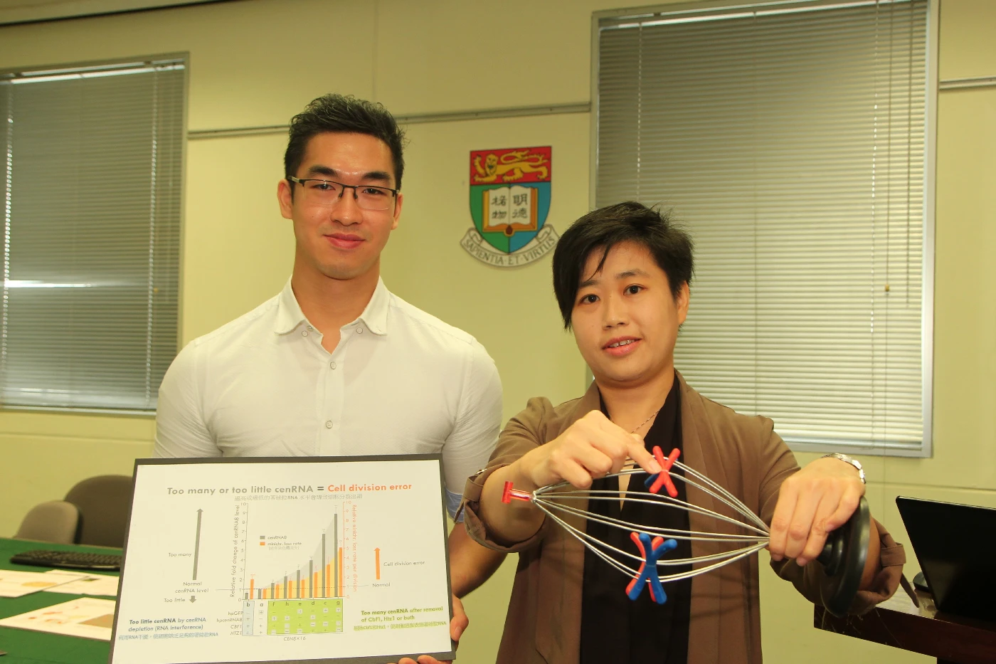 HKU biologists discover cell division requires a balanced level of non-coding RNA for chromosome stability