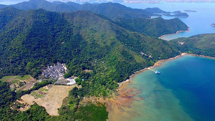 港大策動永續發展坊成為聯合國《生物多樣性公約》<br>
「里山倡議國際夥伴關係網絡」成員