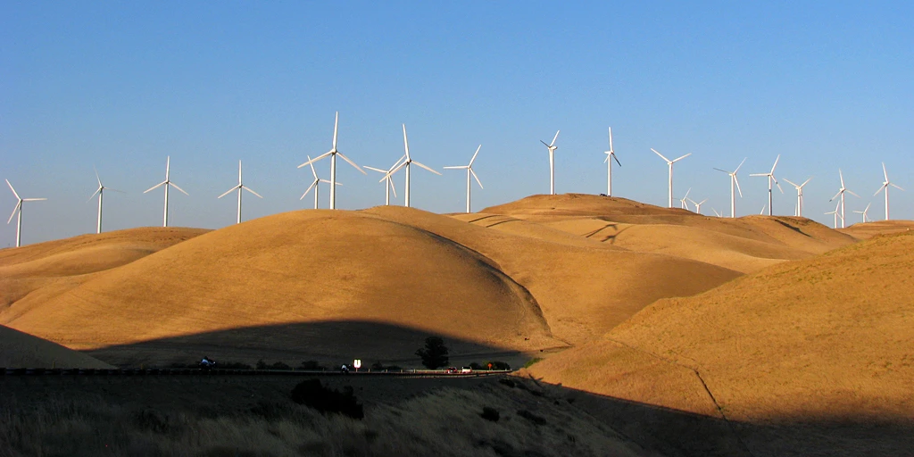 Caption: The 5400 wind turbines at Altamont Pass Wind Resource Area in California make it one of the largest wind farms in the world. However, it is estimated to cause thousands of bird deaths every year - including 67 golden eagles (Aquila chrysaetos).  Credit: Steve Boland