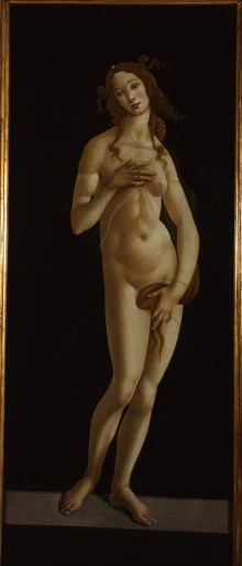 Sandro Botticelli’s Venus –<br>
An Italian High Renaissance
