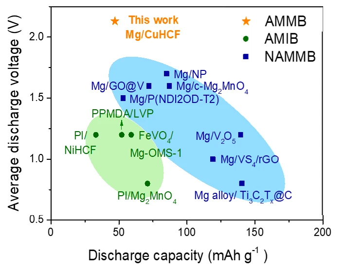 Electrochemical performance of the aqueous Mg metal battery