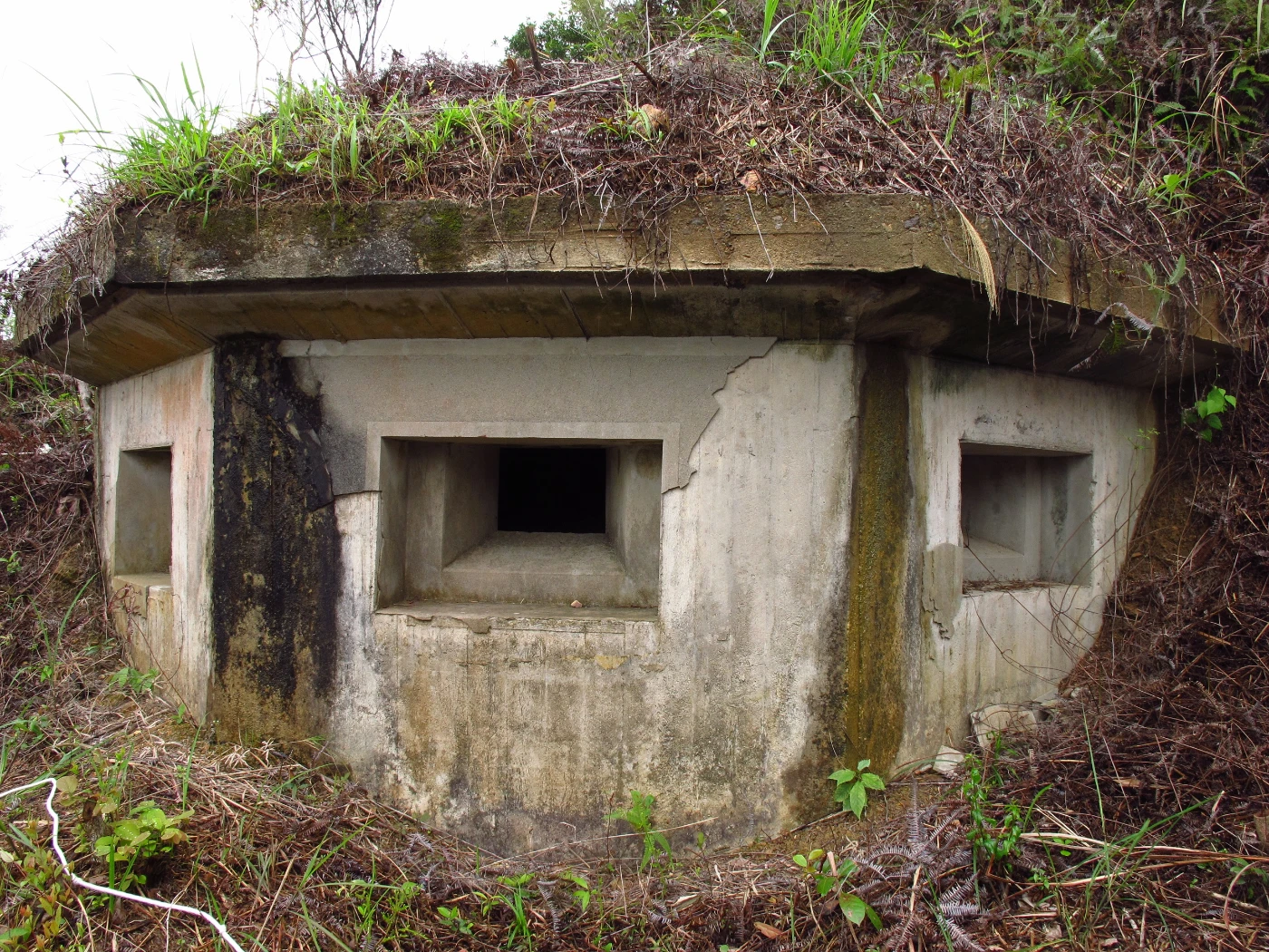 Pillbox PB8 (photo credit: The University of Hong Kong)