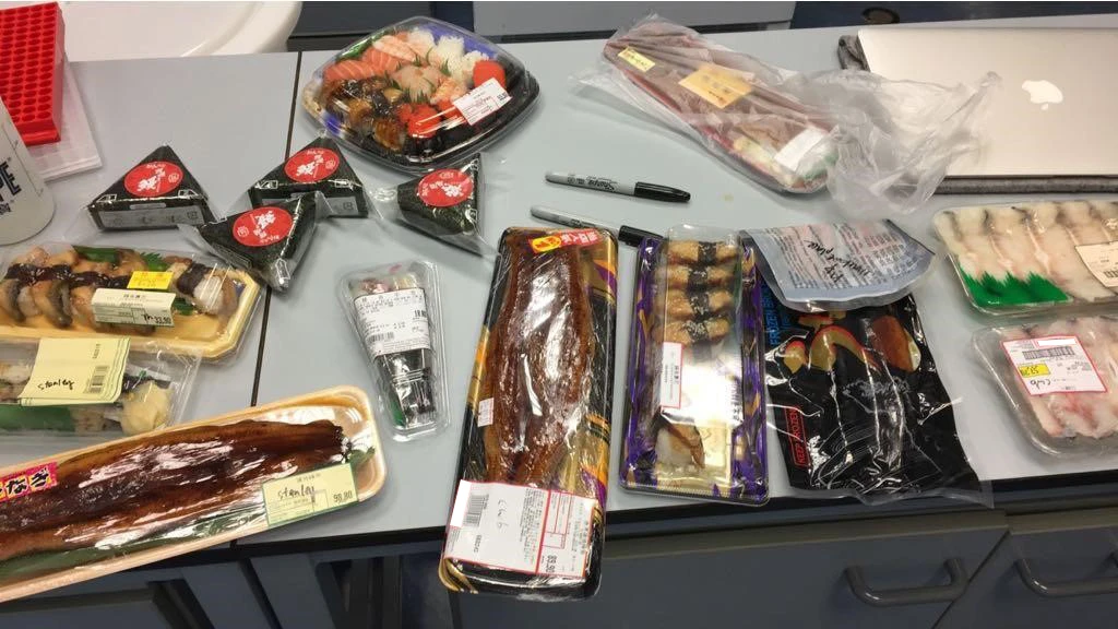 港大鑑識保育實驗室揭示<br>
本港常見鰻魚食品近半屬瀕危物種
