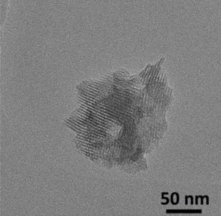 Team led by HKU Faculty of Dentistry fights oral bacteria with nanotechnology