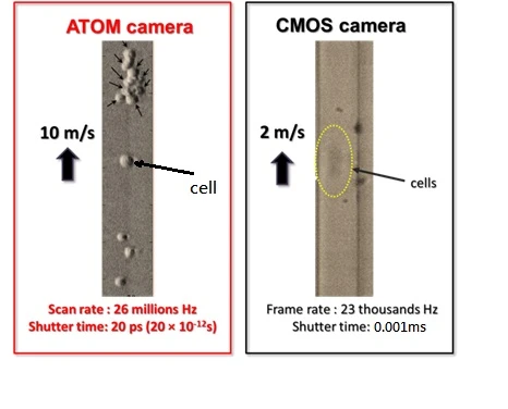 香港大學成功研發最新細胞光學成像技術ATOM助檢測人體中極少量癌細胞及早期癌細胞病變